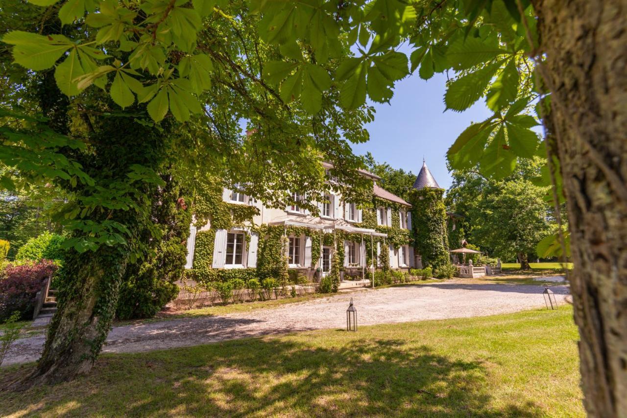 Chateau Des Ayes - Chambres & Suites Saint-Étienne-de-Saint-Geoirs Екстериор снимка