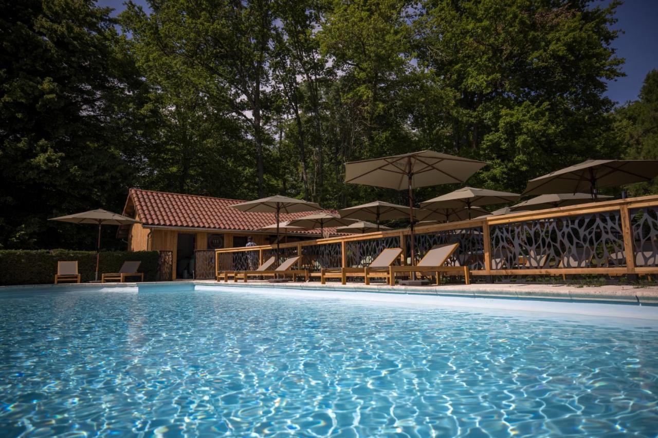 Chateau Des Ayes - Chambres & Suites Saint-Étienne-de-Saint-Geoirs Екстериор снимка