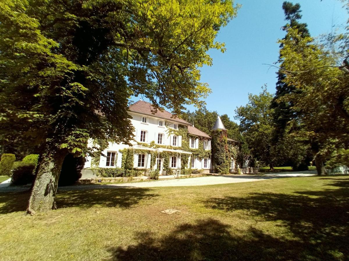 Chateau Des Ayes - Chambres & Suites Saint-Étienne-de-Saint-Geoirs Екстериор снимка